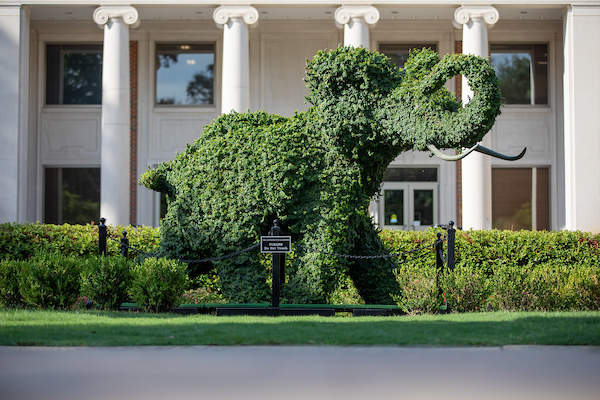 The elephant topiary at Rose Administration Building